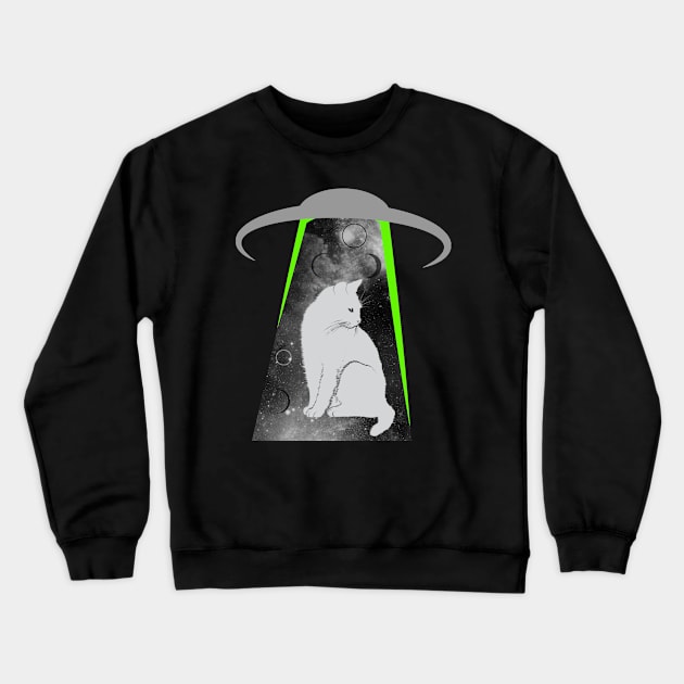 kitten Crewneck Sweatshirt by Creation Cartoon